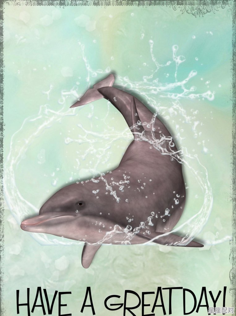 浑身皮肉,躲背后是什么动物_美好家庭代表啥动物 - 星座运势