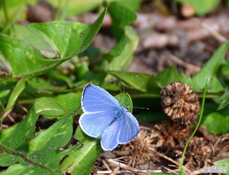 按中国的传统,老人去世,整个葬礼的流程是怎样的_梦到亲人的尸体 按中国的传统,老人去世,整个葬礼的流程是怎样的_梦到亲人的尸体 - 星座运势
