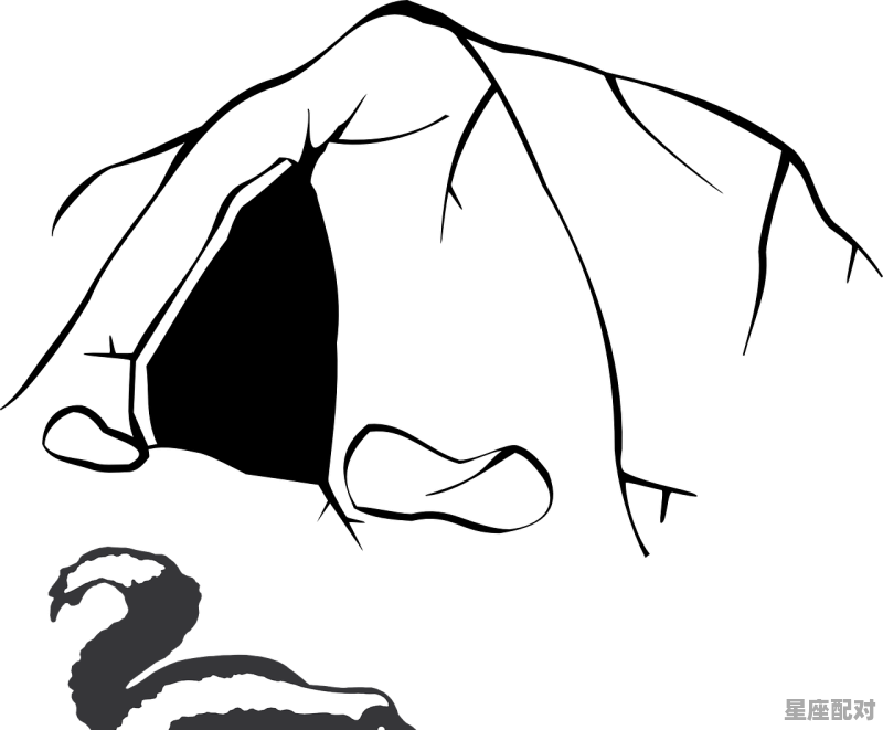 脑门开口是什么动物,额头有一个洞什么生肖 脑门开口是什么动物,额头有一个洞什么生肖 - 星座运势