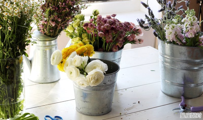 欲钱买花天酒地的十二生肖是什么_花代表什么动物 欲钱买花天酒地的十二生肖是什么_花代表什么动物 - 星座运势