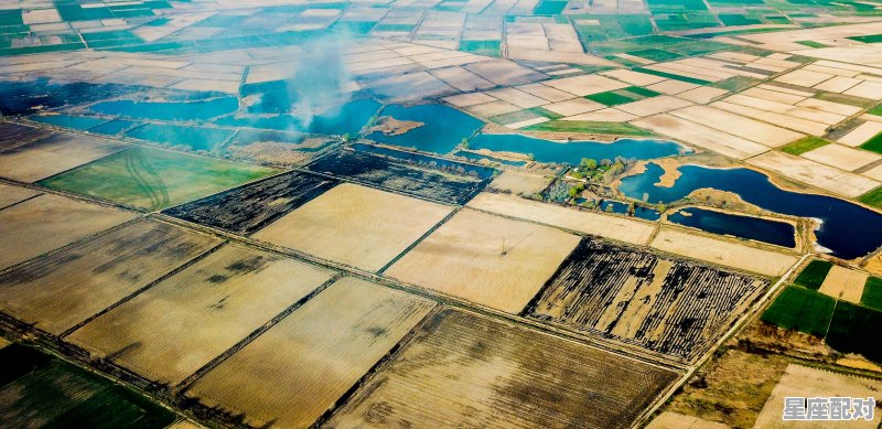 2021年12月10日是什么属相日,属相龙今日运势如何 - 星座运势