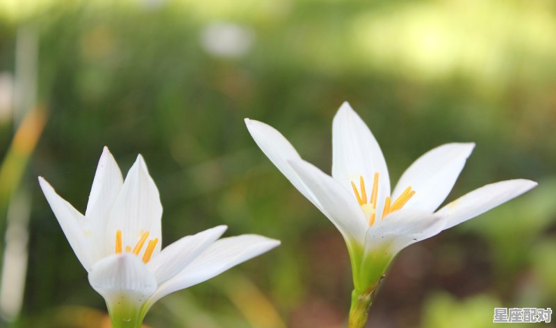 今日最佳早安句子,今日天气占卜运势详解 今日最佳早安句子,今日天气占卜运势详解 - 星座运势