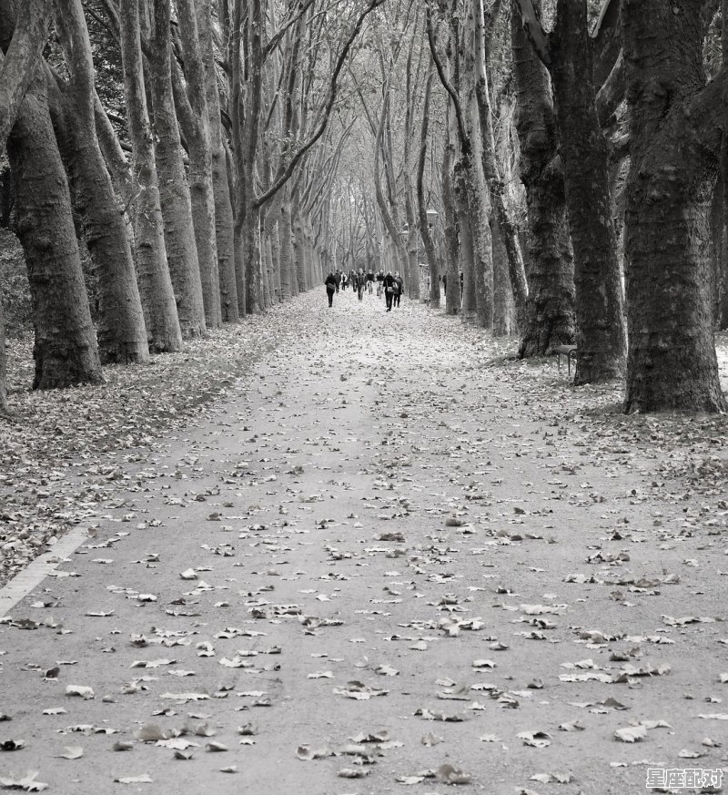 梦到老公跳楼,梦到老公跳楼 - 星座运势