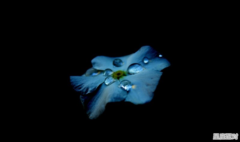 白羊女和金牛男相配吗，十二星座配对金牛座白羊座女生怎么样 - 星座运势