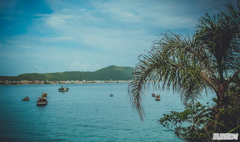 海代表什么动物，大海什么生肖 - 星座运势
