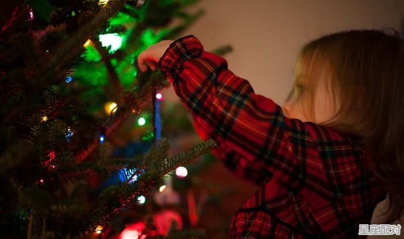 edg成员有几个中国人,田野meiko什么星座 - 星座运势