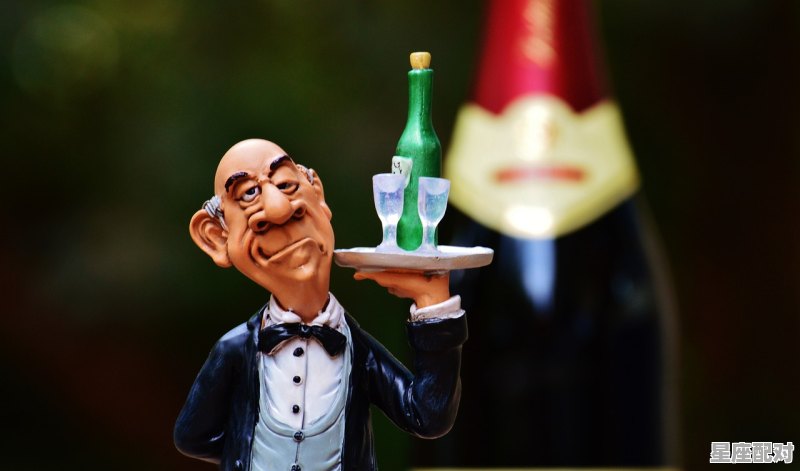 樊少皇的资料，以暴制暴什么生肖 - 星座运势