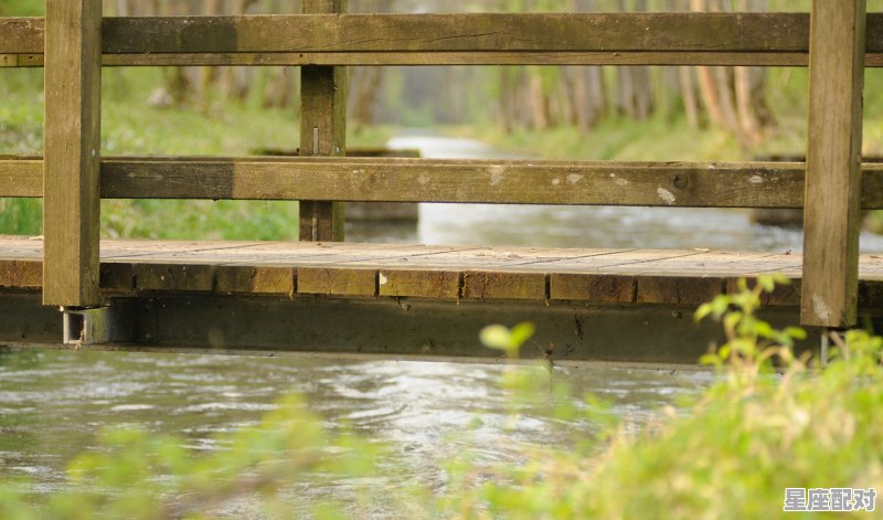 孕妇可以在河里游泳吗,怀孕梦到河 - 星座运势