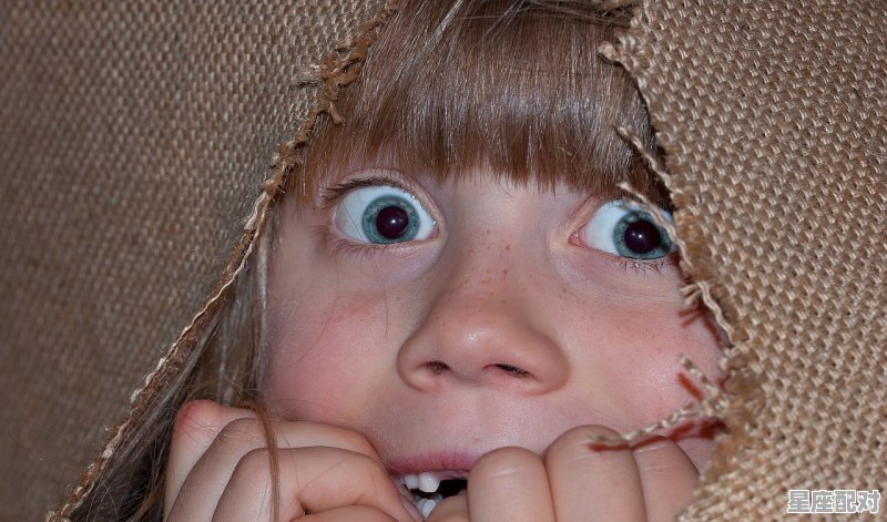 什么生肖怕黑,什么生肖怕黑 - 星座运势