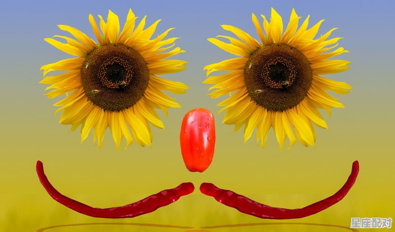 夏至的天气特征及其原因,夏至对应的习俗 夏至的天气特征及其原因,夏至对应的习俗 - 星座运势