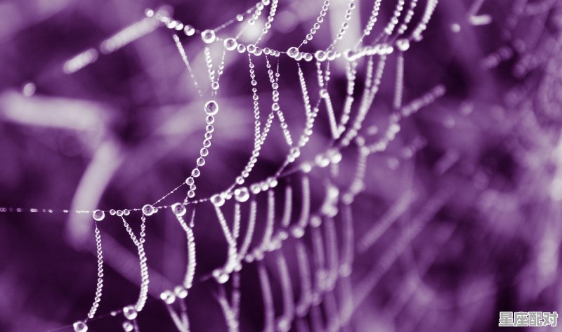 1月和2月份是什么星座_2021年2月14日是什么星座 - 星座运势