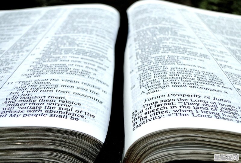 12星座的配偶标准，如果你谈恋爱一定要星座配对的话 - 星座运势