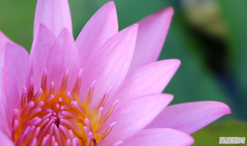 个人星座怎么来的,河是什么星座 个人星座怎么来的,河是什么星座 - 星座运势