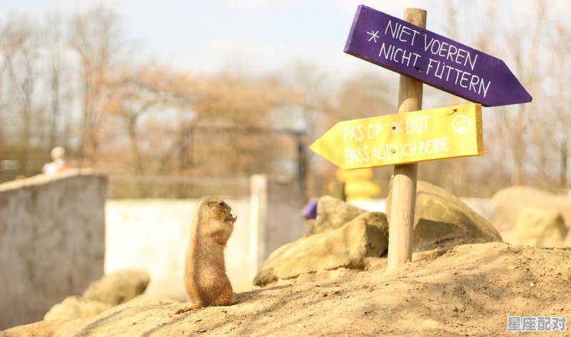 秤人是什么意思,夏天称人习俗 秤人是什么意思,夏天称人习俗 - 星座运势