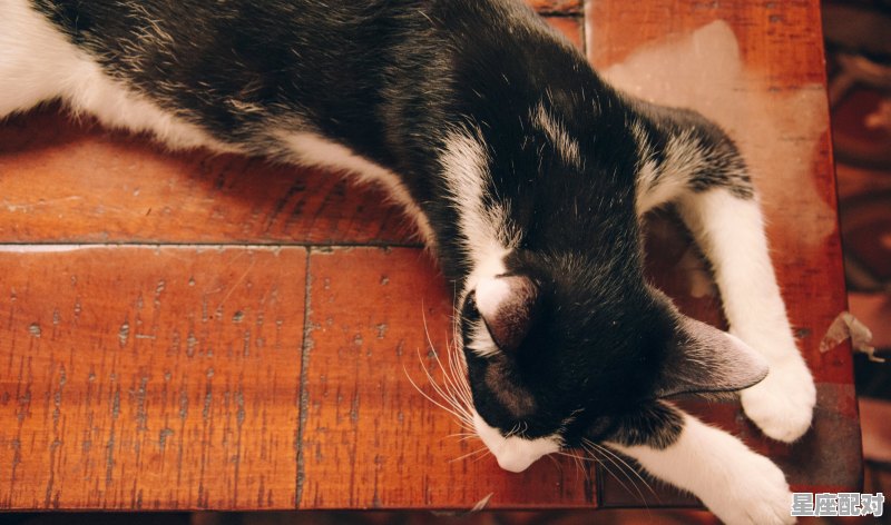 1975到2021多少岁，1975兔女今日运势 - 星座运势