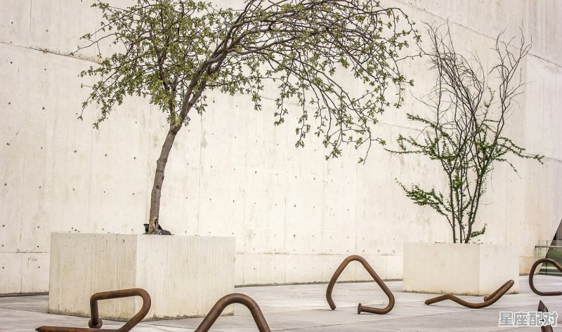 蝉的写作背景,虞世南是什么星座 蝉的写作背景,虞世南是什么星座 - 星座运势