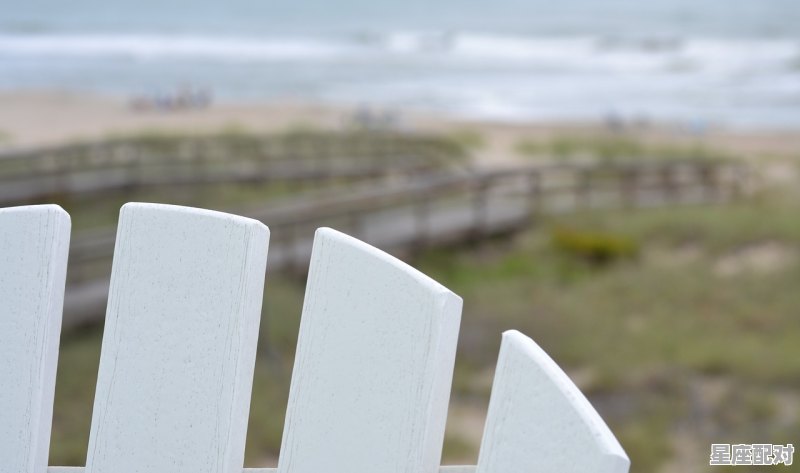 找一个轮滑标语,梦到滑轮滑 - 星座运势