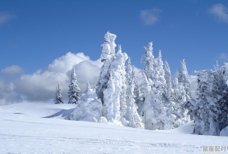 大寒习俗，大寒节气习俗 - 星座运势