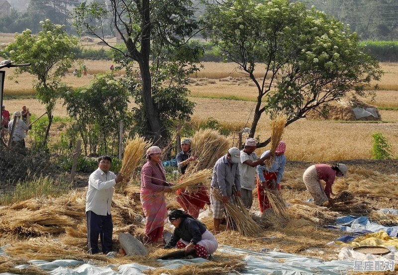云南什么时候过年,云南人都有啥习俗 - 星座运势