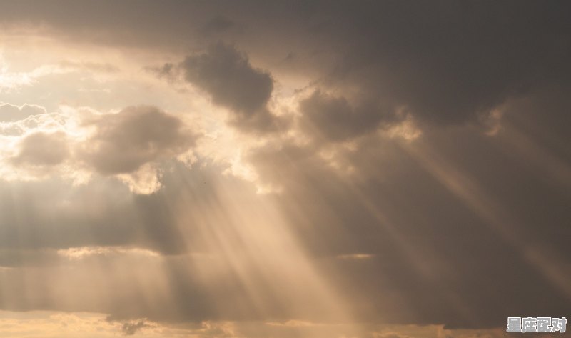 1954年是壬午年吗，属相土马今日运势 - 星座运势