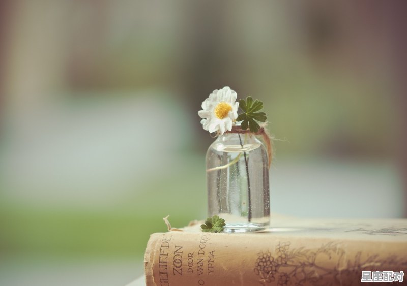 1981正月初五是什么星座,1981年1月什么星座 - 星座运势