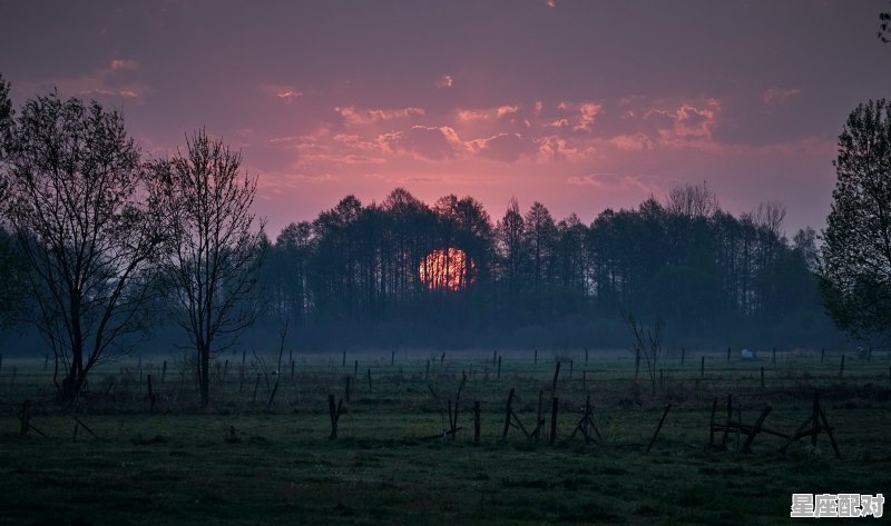 双子座流星雨今年全国观看吗,今日双子财运运势如何 - 星座运势