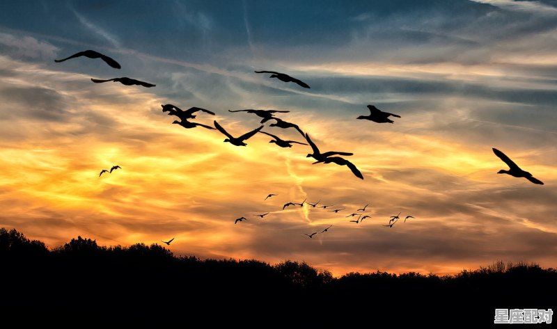 从天而降的火球究竟是什么_飞火流星是啥 从天而降的火球究竟是什么_飞火流星是啥 - 星座运势