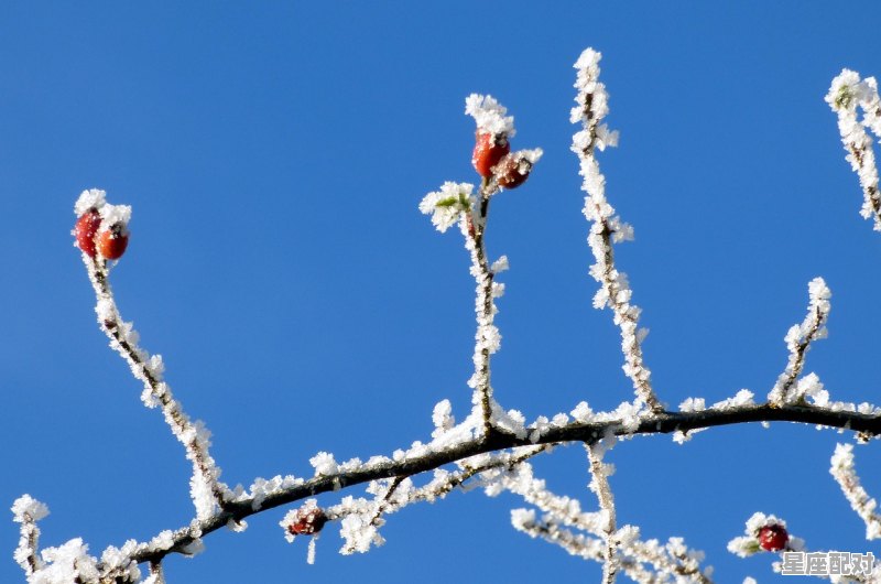 时光倒流的句子经典语录,梦到时光倒流 时光倒流的句子经典语录,梦到时光倒流 - 星座运势