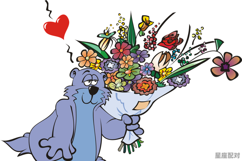 并字什么动物的意思,连花是什么生肖 - 星座运势