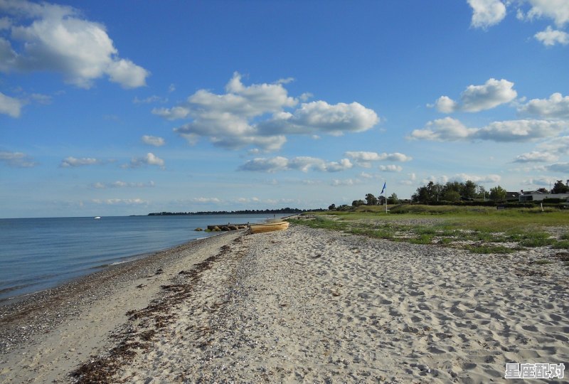 驴在天上飞是什么意思,梦到毛驴是什么意思 - 星座运势