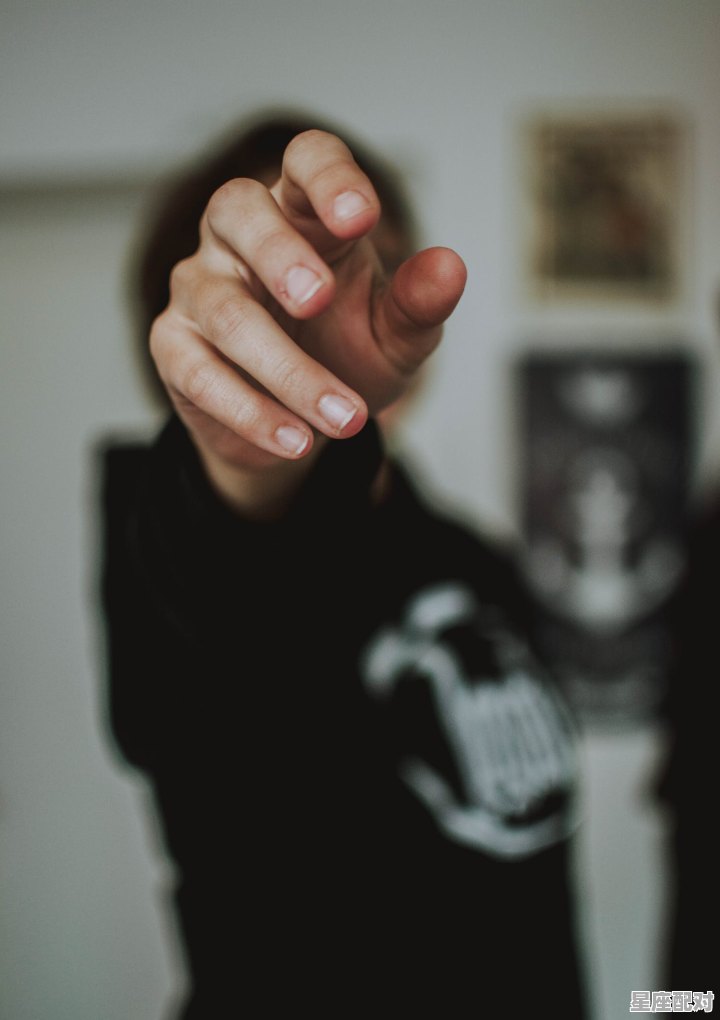 天秤座最佳男友星座，感情比较好的星座配对男星有哪些 - 星座运势