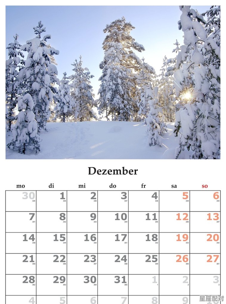 12月33的星座是什么，33什么星座 - 星座运势
