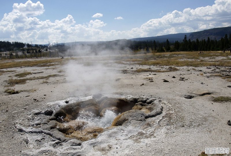 为什么蛇要放生_人工饲养的蛇放生可以活吗 为什么蛇要放生_人工饲养的蛇放生可以活吗 - 星座运势