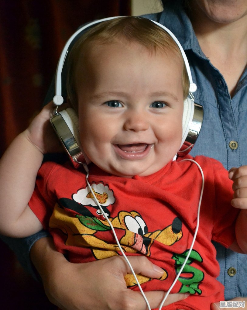 bjd娃娃不小心从桌子上摔下来会碎吗_吉娃娃摔伤脑袋会怎么样的反应 - 星座运势