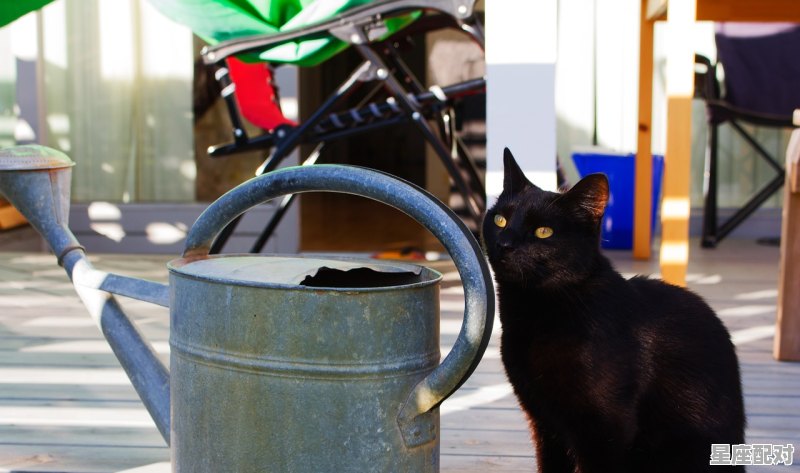 金牛座男人解析，天牛座男生的性格 - 星座运势