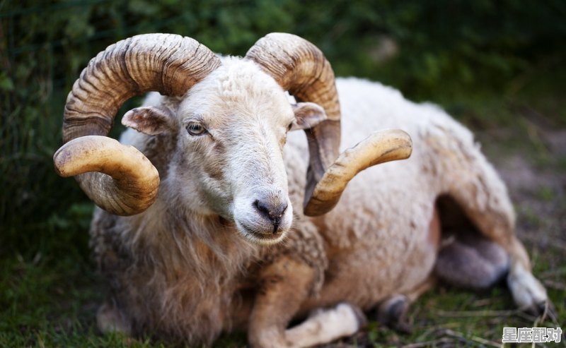 星座运势2021年每月运势,白羊广座今日运势 星座运势2021年每月运势,白羊广座今日运势 - 星座运势