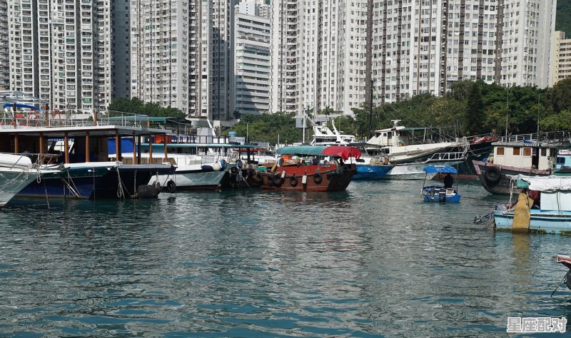 梦到去香港旅游,梦到去香港旅游 - 星座运势